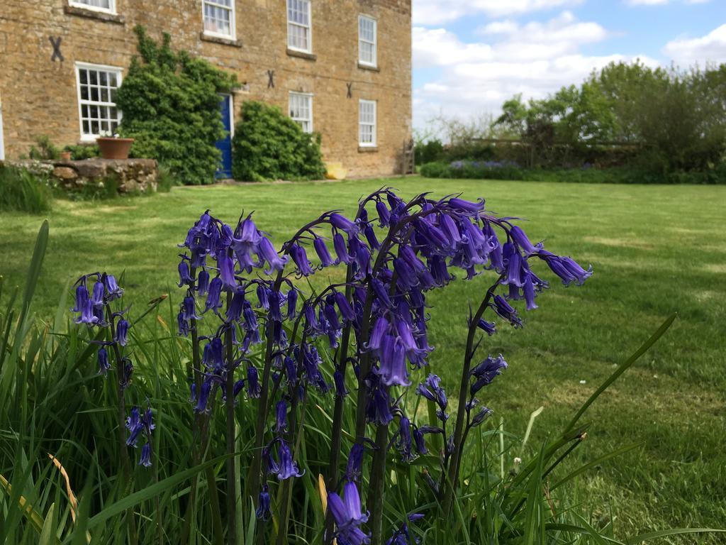 לינה וארוחת בוקר Lower Brailes Cotswolds Mine Hill House מראה חיצוני תמונה